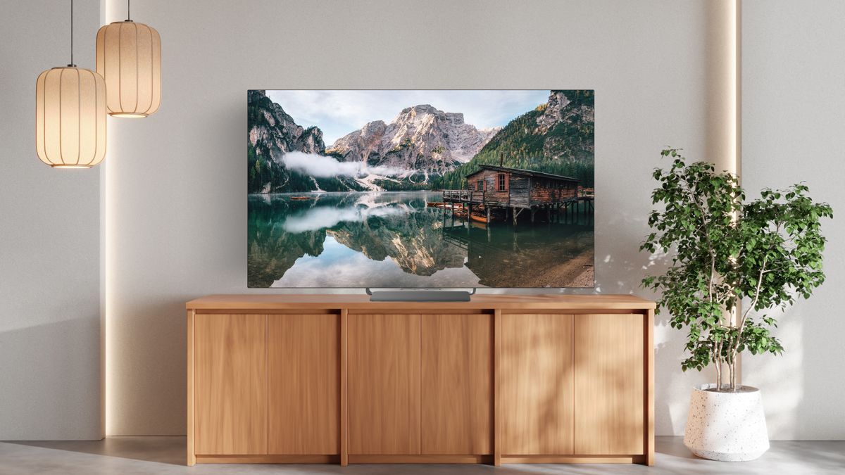 Sony Bravia 55